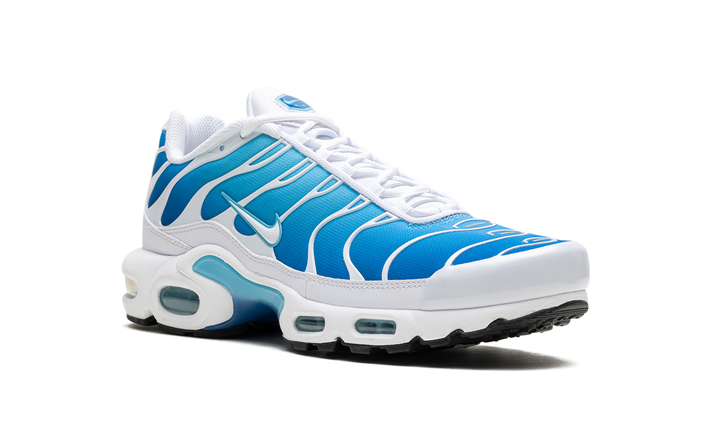 Air Max Plus Blue Gaze
