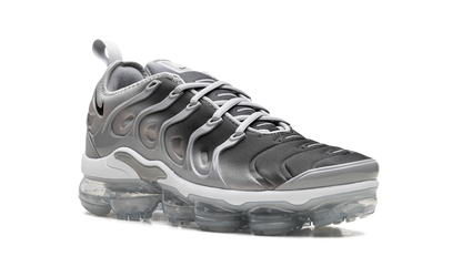 Air Vapormax Plus  Silver Gradient