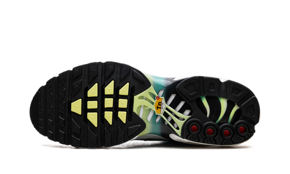 Air Max Plus WMNS  Dusty Cactus Barely Volt