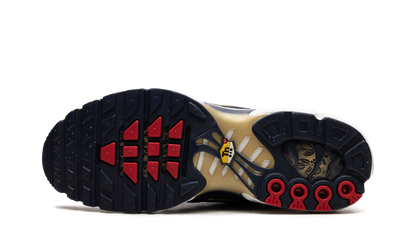 Air Max Plus  FFF