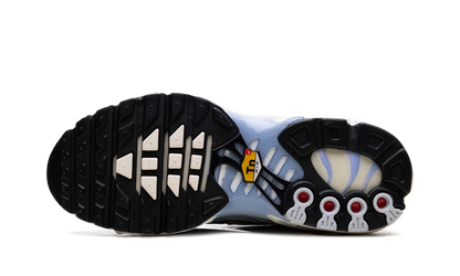 Air Max Plus WMNS  Daybreak