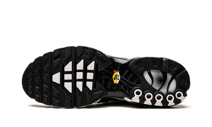 Air Max Plus  Black / Silver