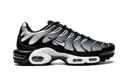Air Max Plus  Black / Silver