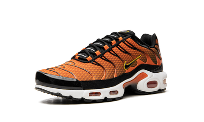 Air Max Plus