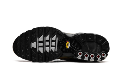 AIR MAX PLUS  Black