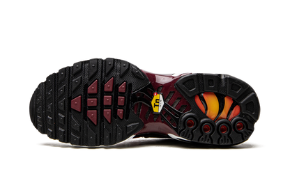 AIR MAX PLUS MNS WMNS  Sisterhood