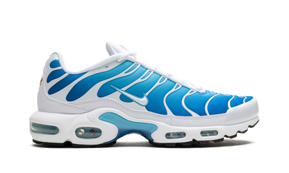 Air Max Plus  Blue Gaze